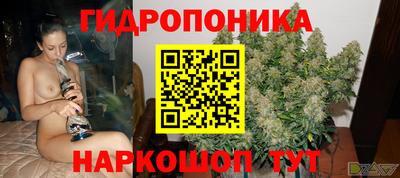 крисы Кандалакша