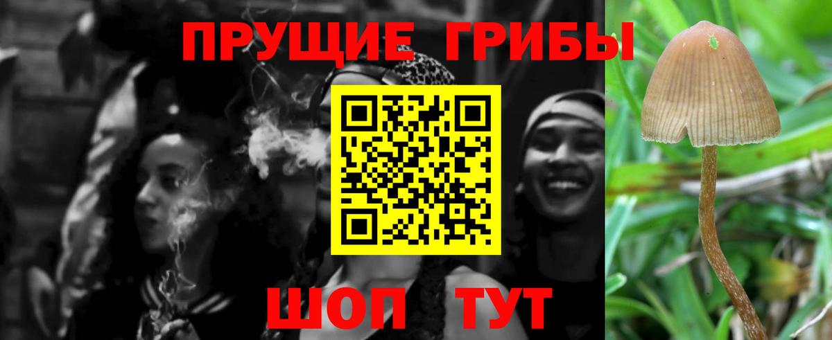 Кострома  Галлюциногенные грибы Psilocybe  Галлюциногенные грибы Psilocybe  Вход с VPN 